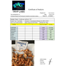 Load image into Gallery viewer, Cordyceps Militaris (Pigmented Wholesale)