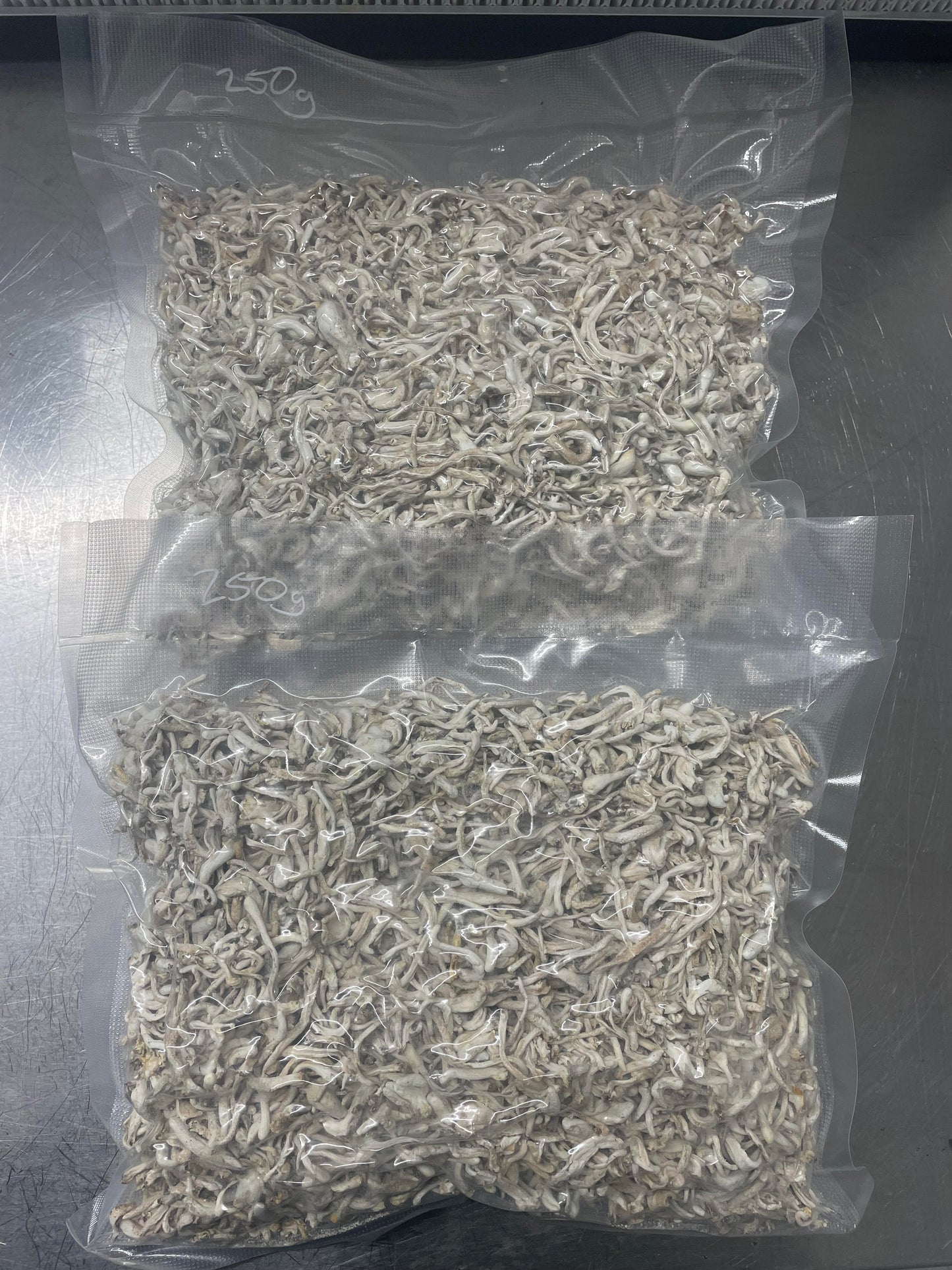 Wholesale Cordyceps Militaris (250g Albino)