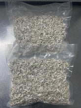 Load image into Gallery viewer, Wholesale Cordyceps Militaris (Albino)