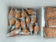 Load image into Gallery viewer, Cordyceps Militaris (Pigmented Wholesale)
