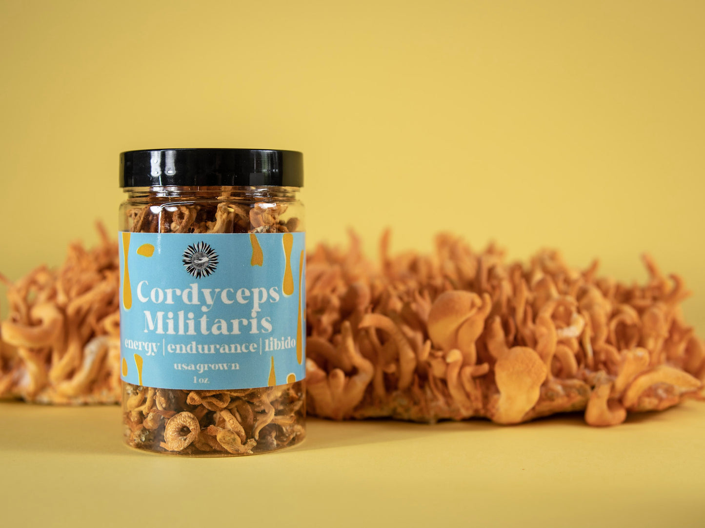 organic usa grown cordyceps militaris whole mushroom fruit supplement