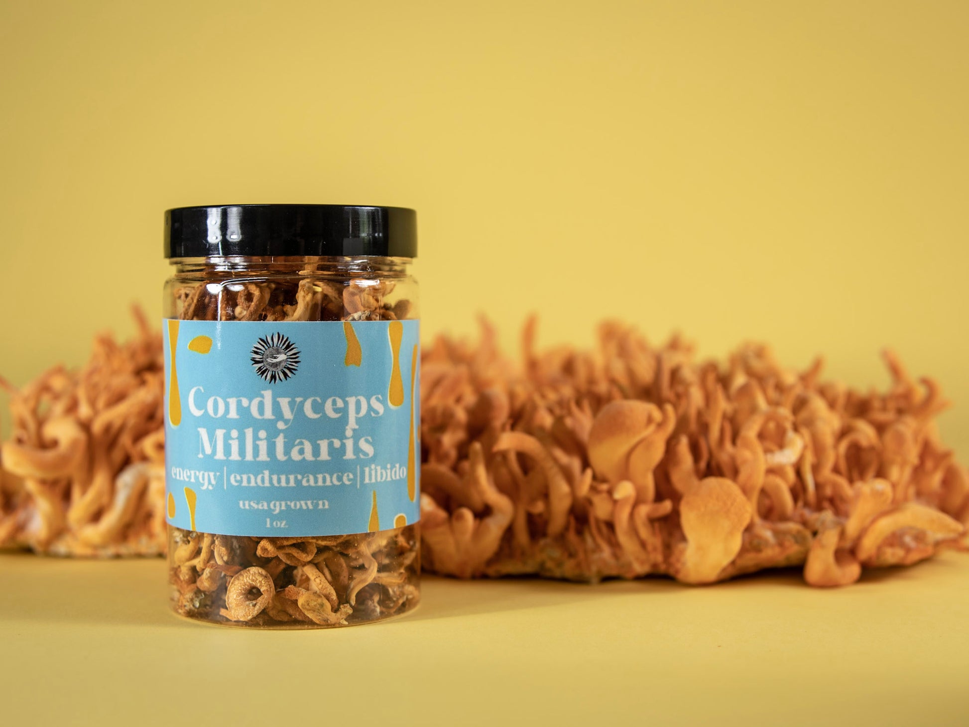organic usa grown cordyceps militaris whole mushroom fruit supplement